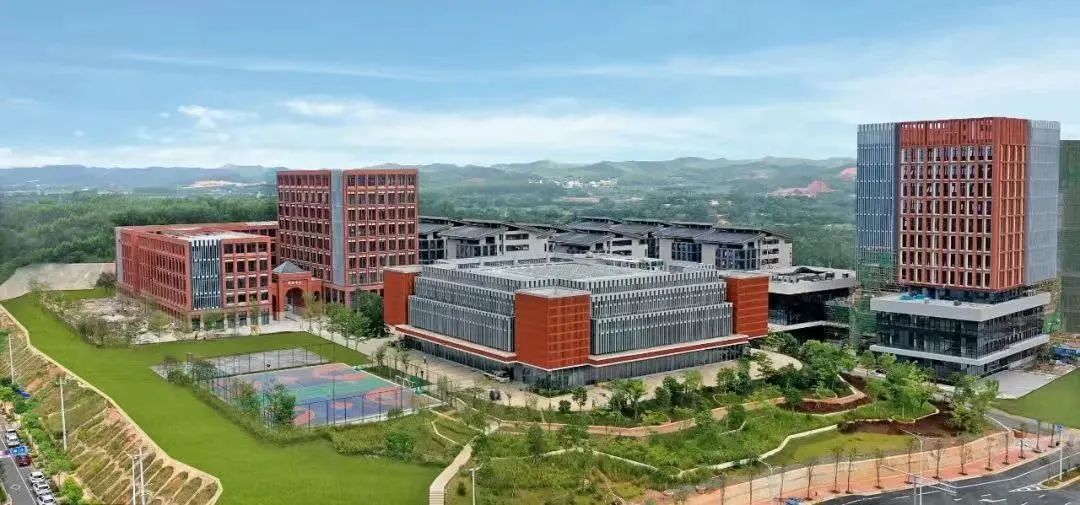 集团888集团数字化赋能广西优化营商环境提质效
